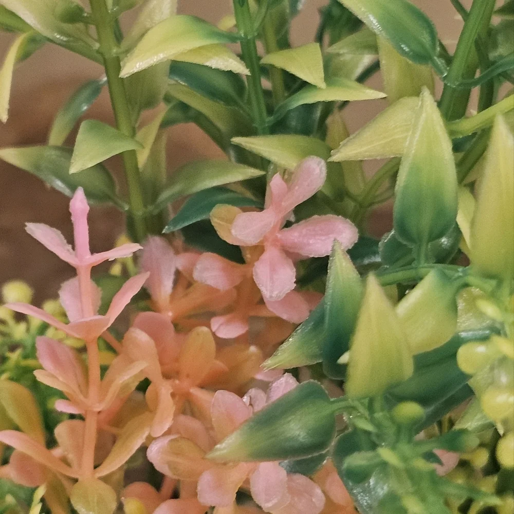 Top Fin Fish Decor Bundle Green Pink